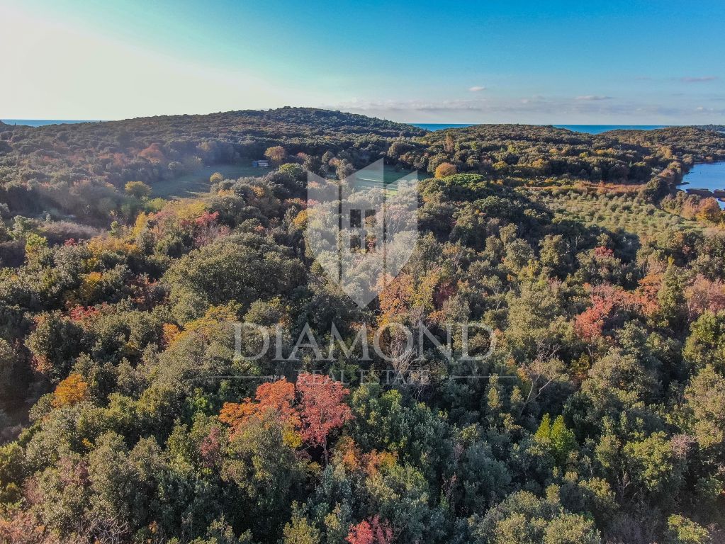 Rovinj, spacious plot of land with a house in a prime location
