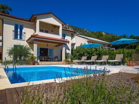 Beautiful villa in nature with pool, Bribir